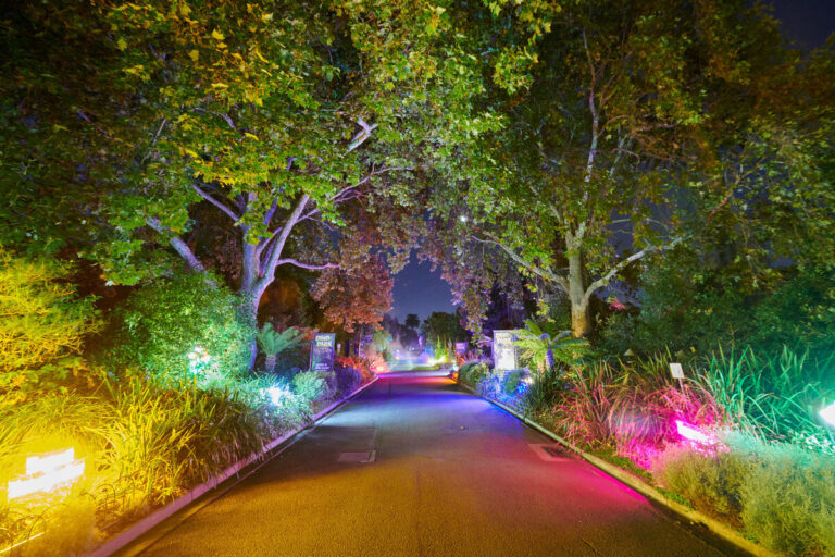 NEON PLAYGROUND Additive Lighting